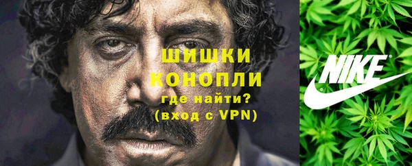 сатива Заволжск