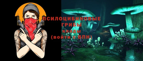 сатива Заволжск