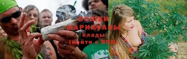 сатива Заволжск